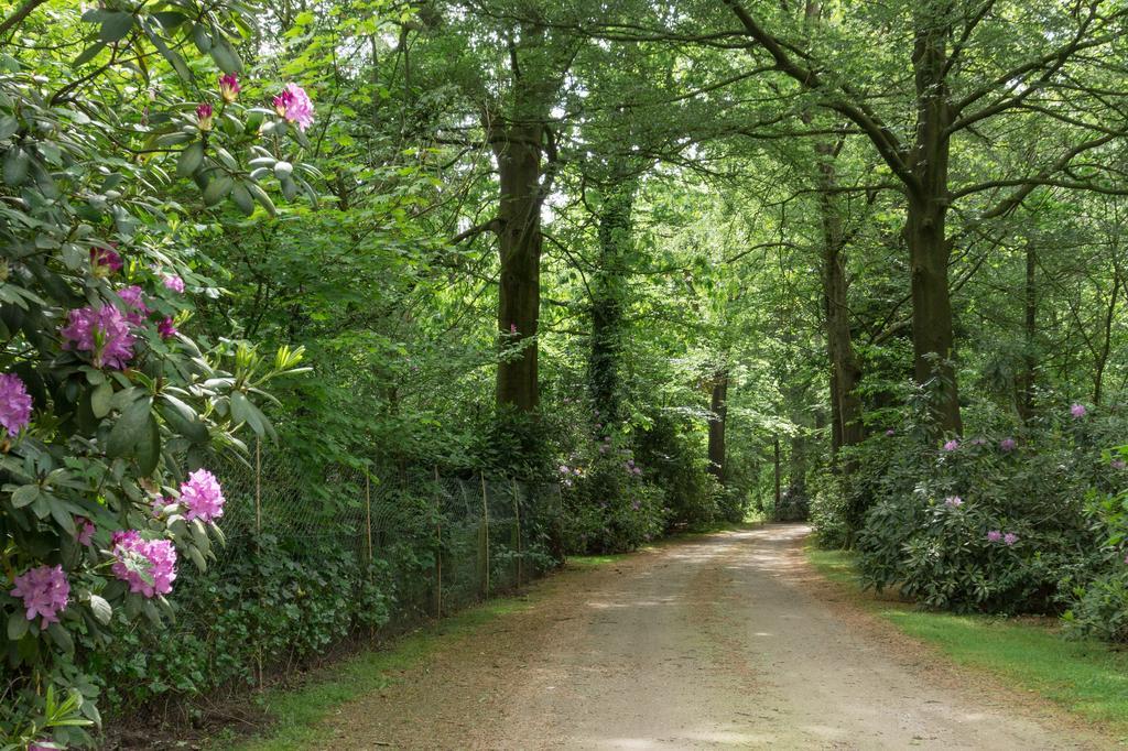 Вілла Bungalowpark Vogelenzang Lage Mierde Екстер'єр фото