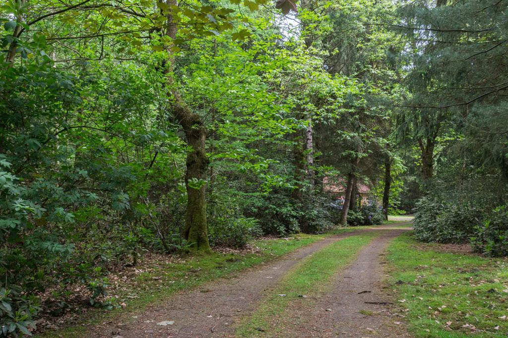 Вілла Bungalowpark Vogelenzang Lage Mierde Екстер'єр фото