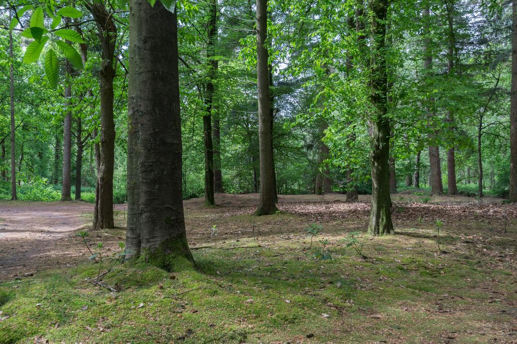 Вілла Bungalowpark Vogelenzang Lage Mierde Екстер'єр фото