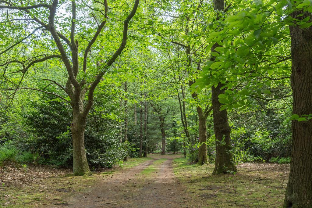 Вілла Bungalowpark Vogelenzang Lage Mierde Екстер'єр фото