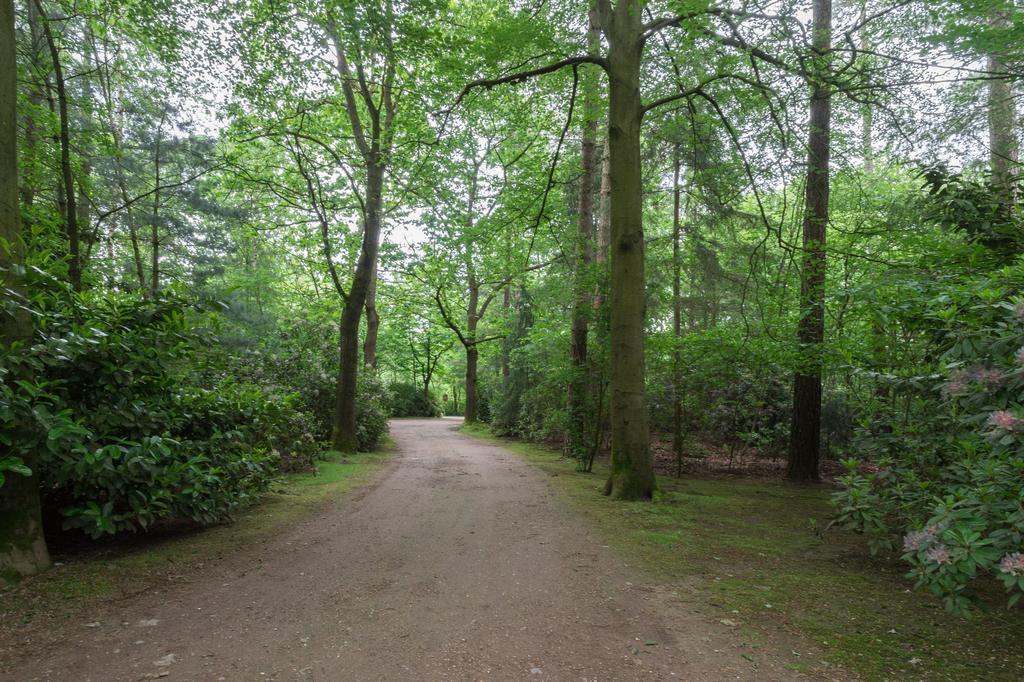 Вілла Bungalowpark Vogelenzang Lage Mierde Екстер'єр фото